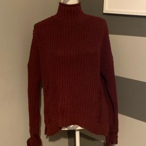 Express turtle neck knit sweater